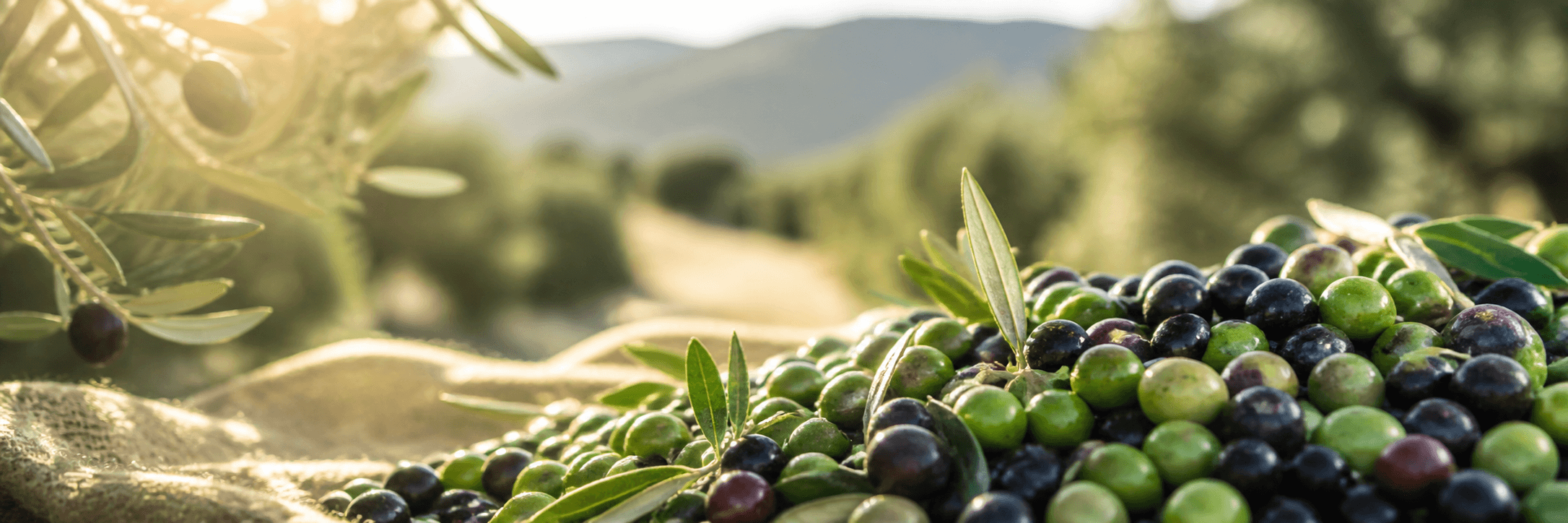 Bottega di Sicilia