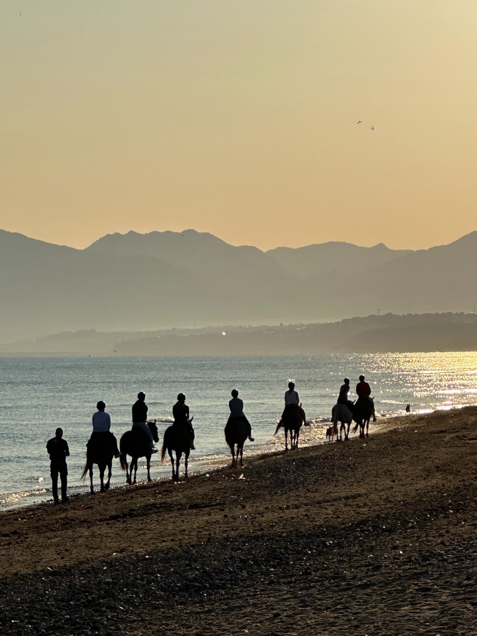 Passeggiata a cavallo sul mare al tramonto - Castellammare del Golfo 5