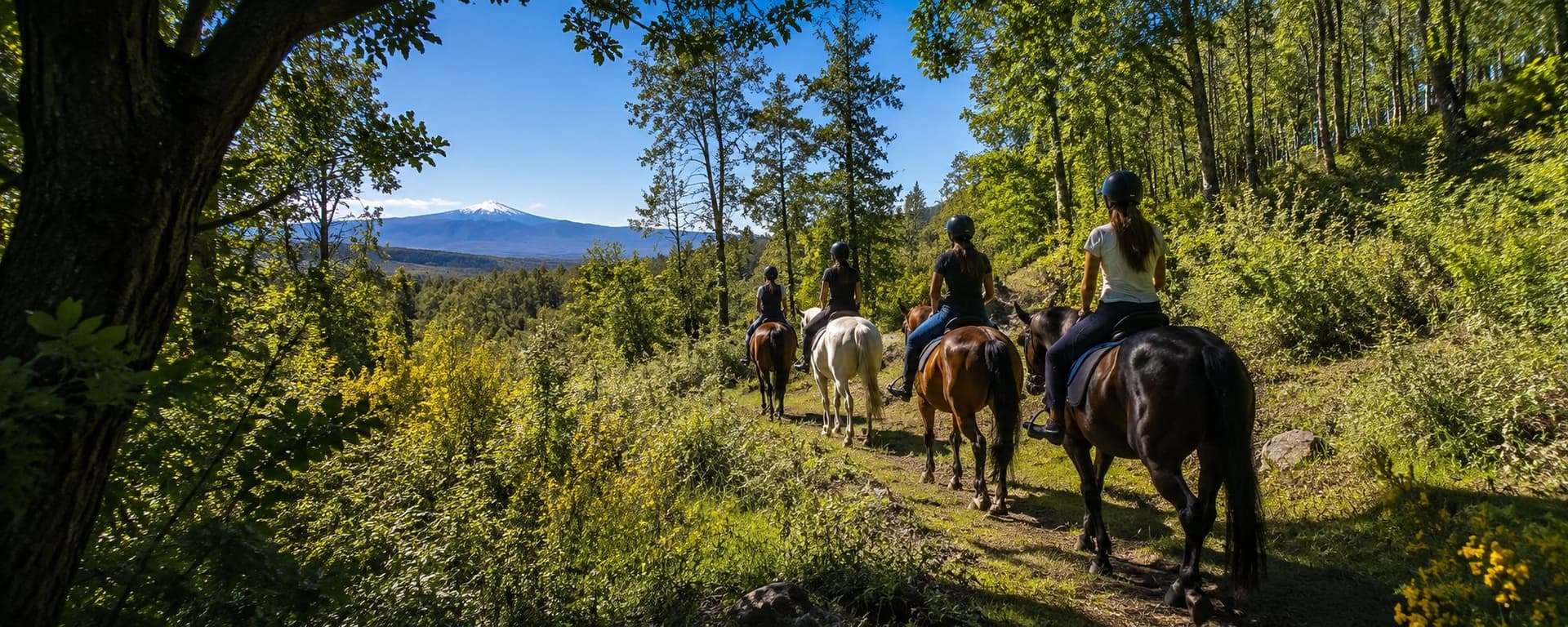 Passeggiata a cavallo sull'Etna 4