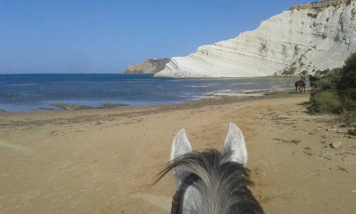 Passeggiata a cavallo al mare con Aperitivo - Agrigento  5