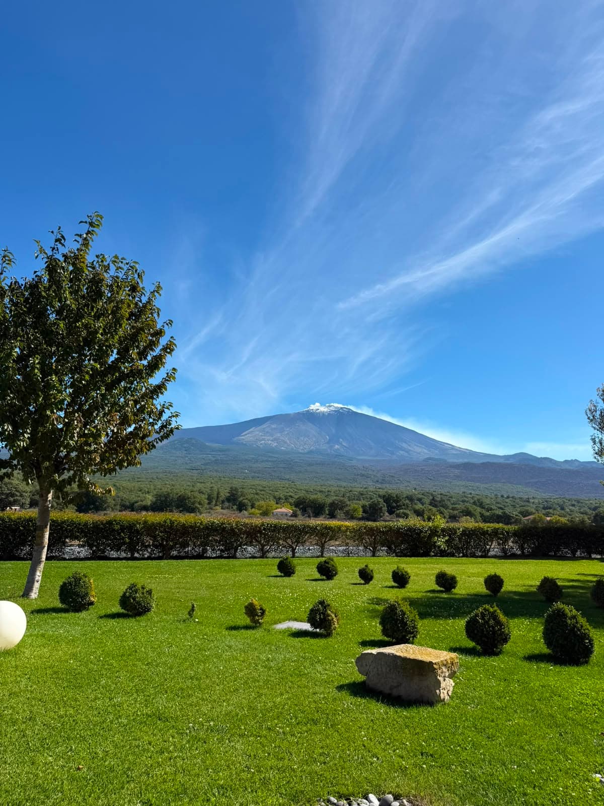 Menù Degustazione al Pistacchio D.O.P. con vista sull'Etna - Bronte 7