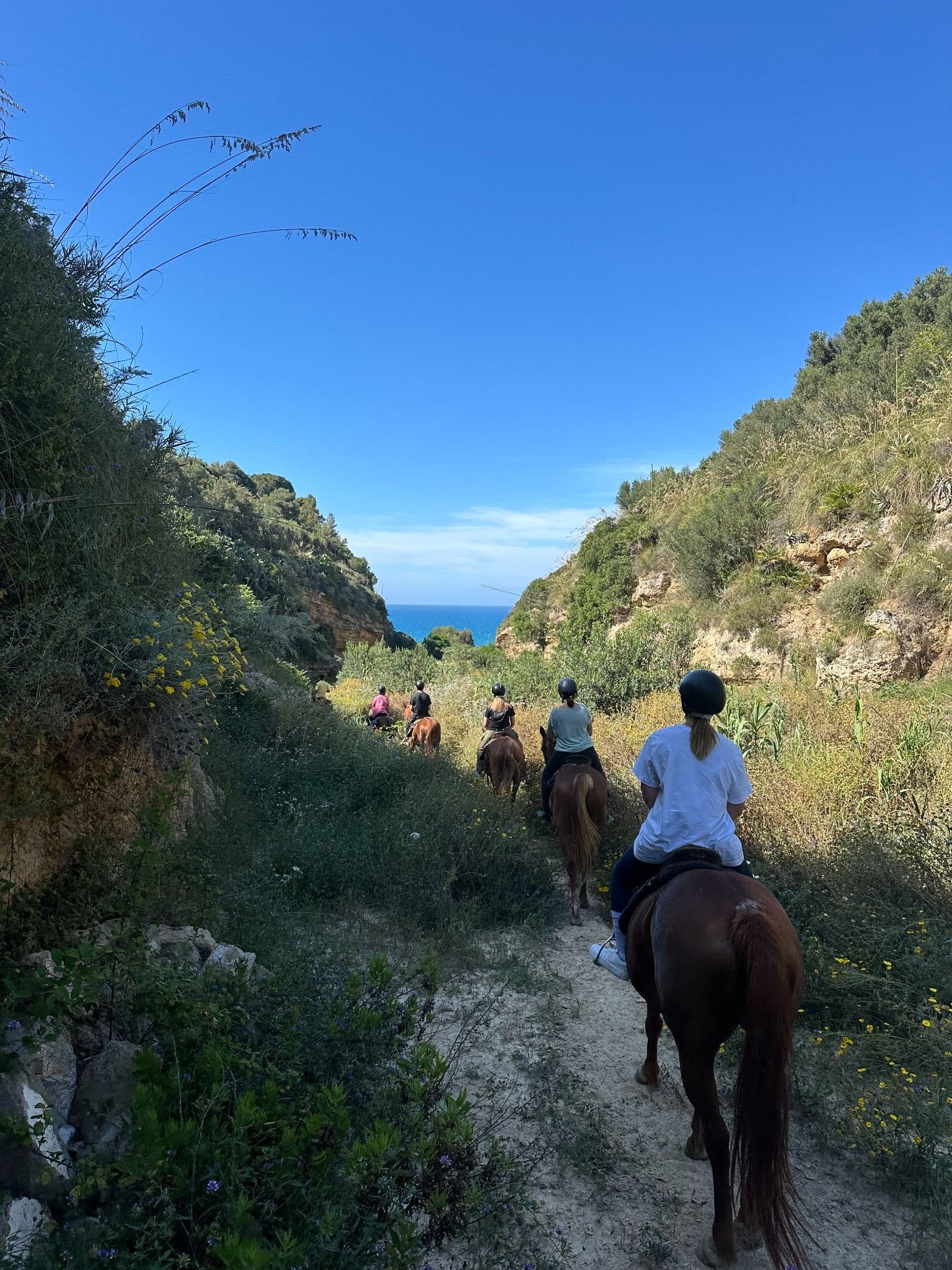 Passeggiata a cavallo sul mare al tramonto - Castellammare del Golfo 4