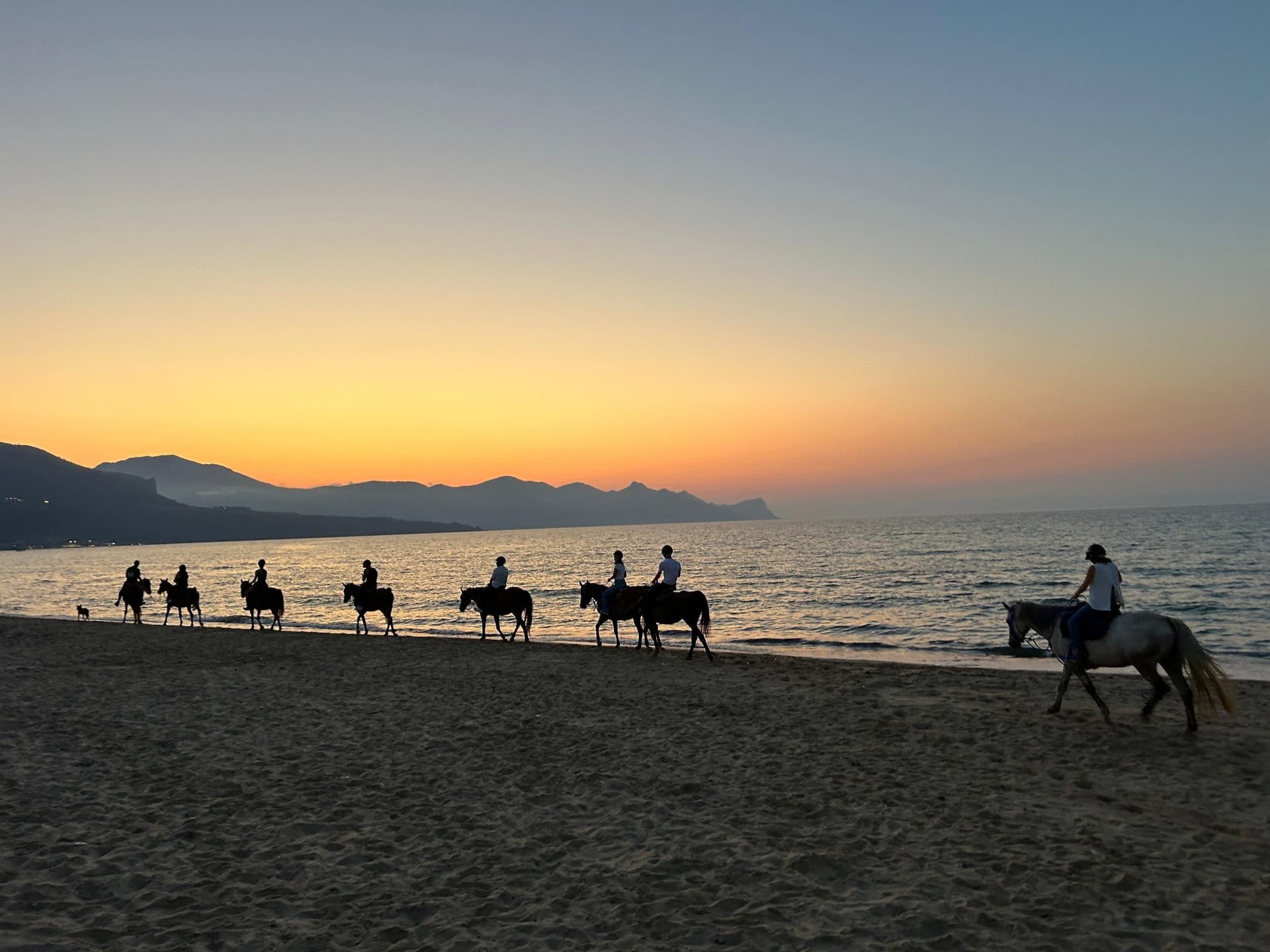 Passeggiata a cavallo sul mare al tramonto - Castellammare del Golfo 3