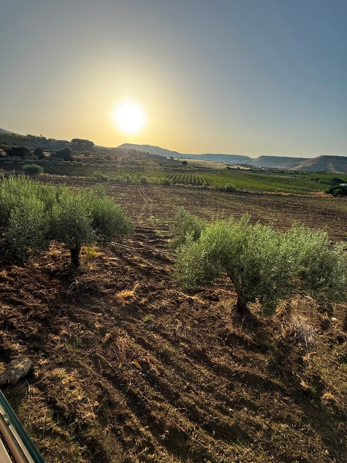 Menù Degustazione di Cucina Siciliana a Km 0 - Caltagirone 9