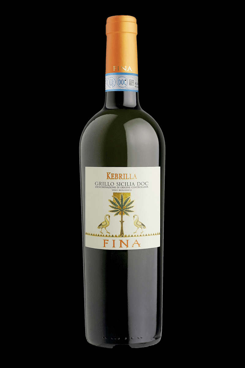 Visita ai vigneti di Cantine Fina con degustazione – Marsala 8