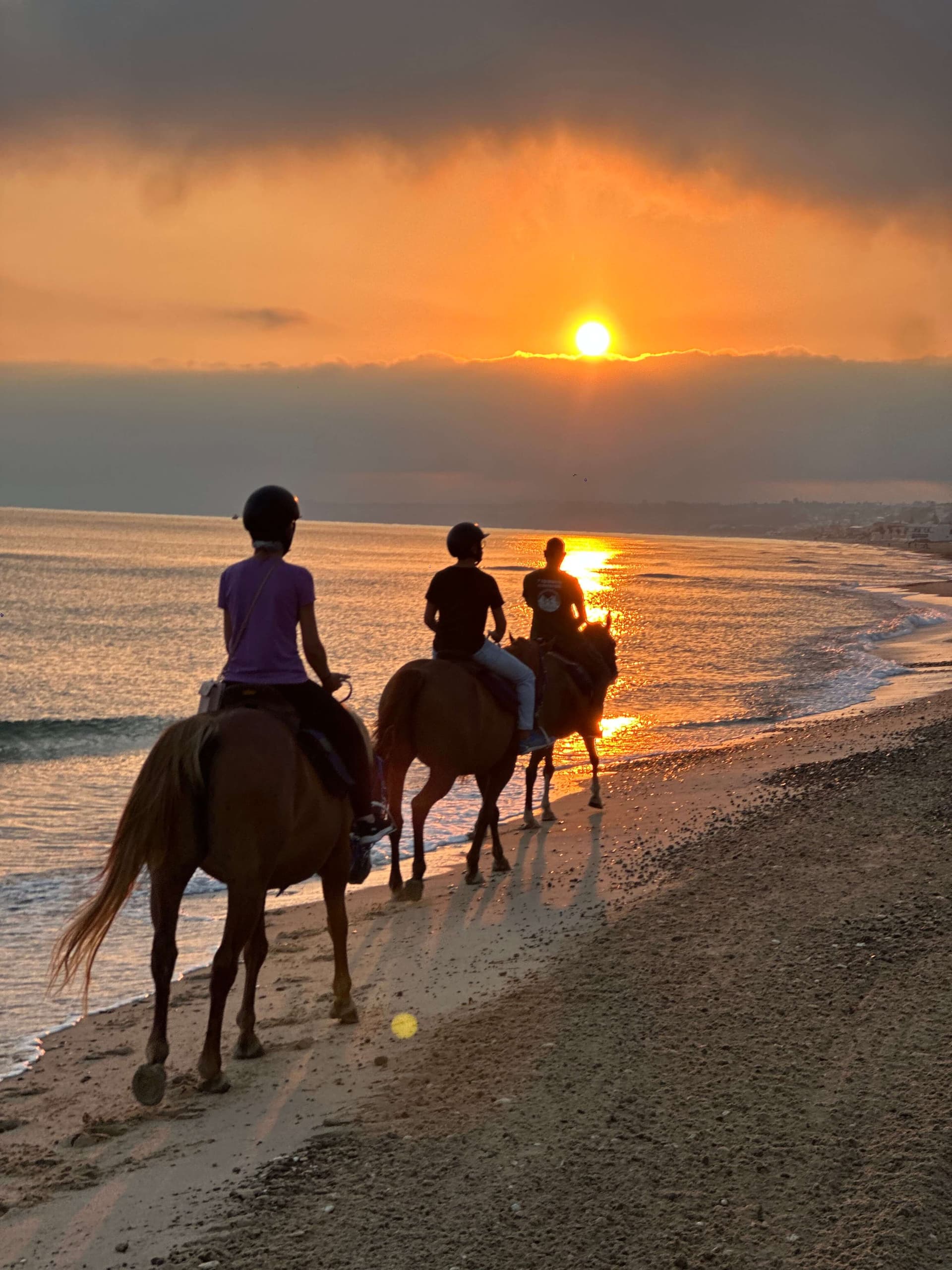 Passeggiata a cavallo sul mare al tramonto - Castellammare del Golfo 1